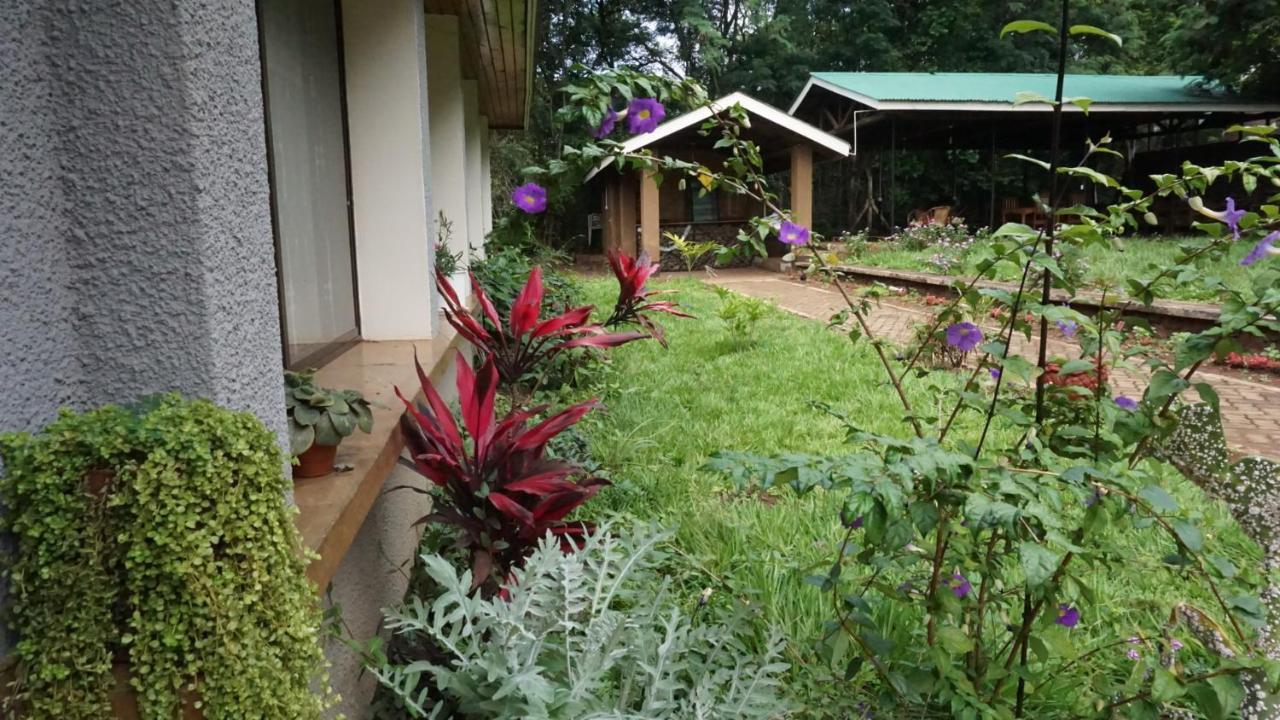 Walk With Us Africa Moshi Exterior foto