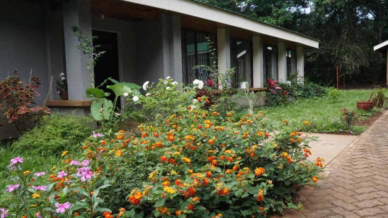 Walk With Us Africa Moshi Exterior foto